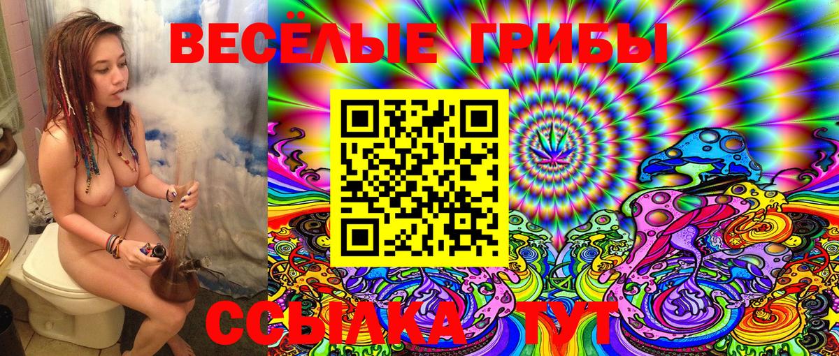 Галлюциногенные грибы MAGIC MUSHROOMS  Вход с VPN  Дагестанские Огни  Псилоцибиновые грибы MAGIC MUSHROOMS 